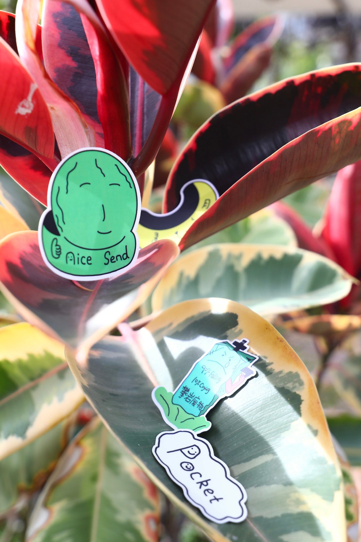 Climbing Holds Sticker