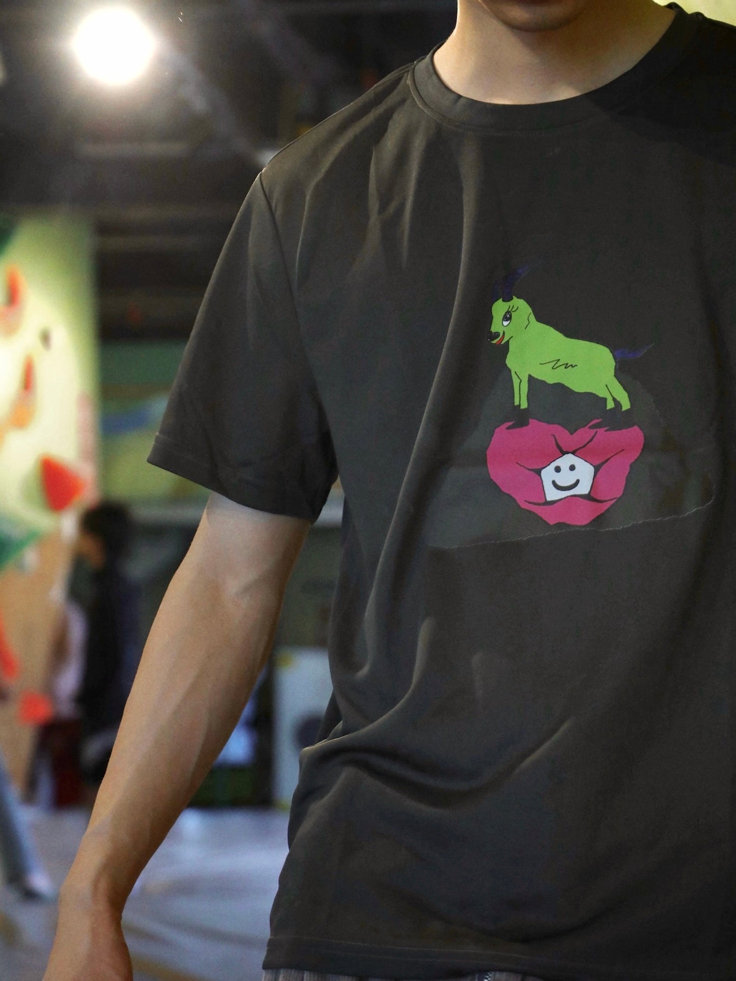Mountain Goat's View Series Quick Dry Tee