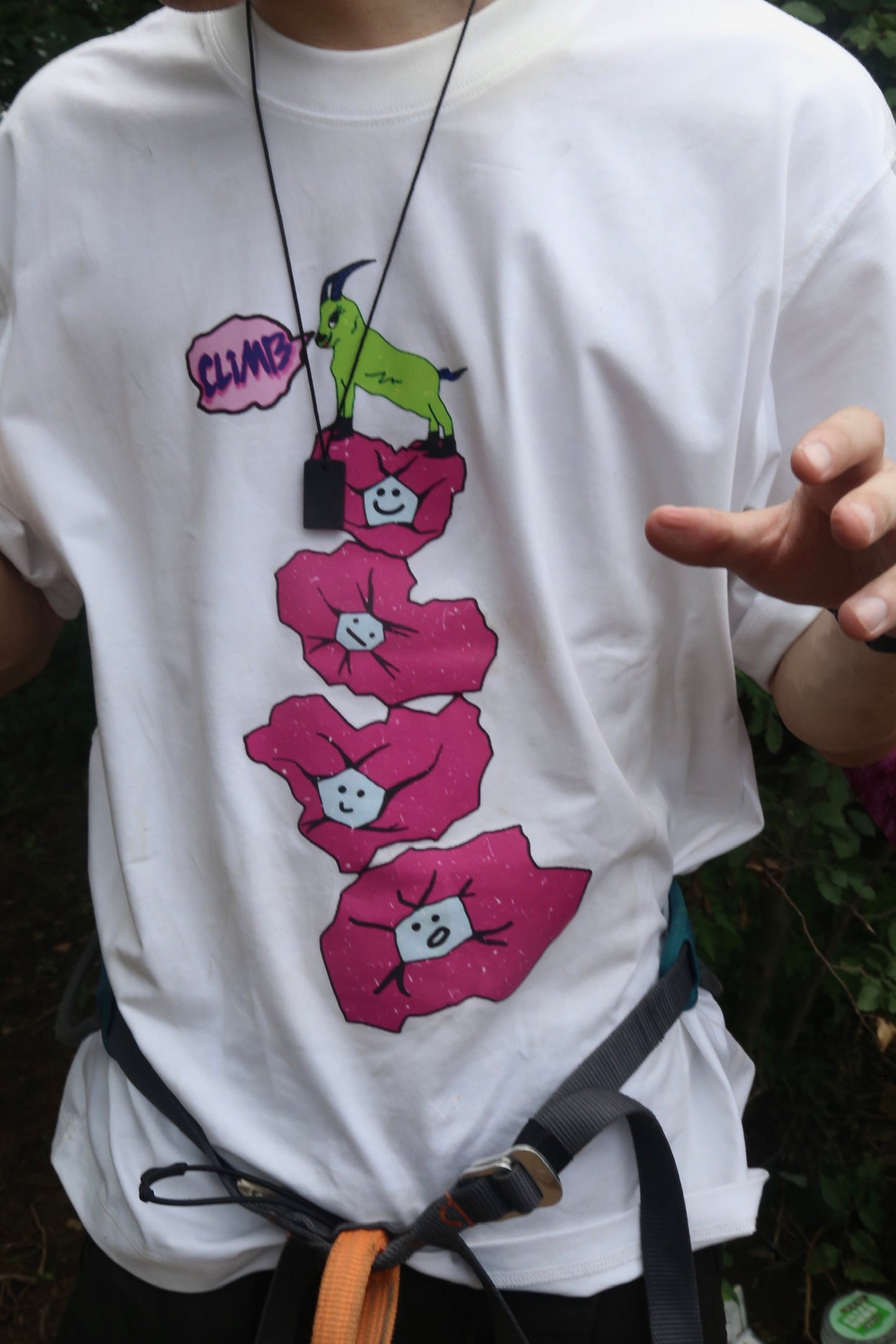 Mountain Goat's View Series Tee
